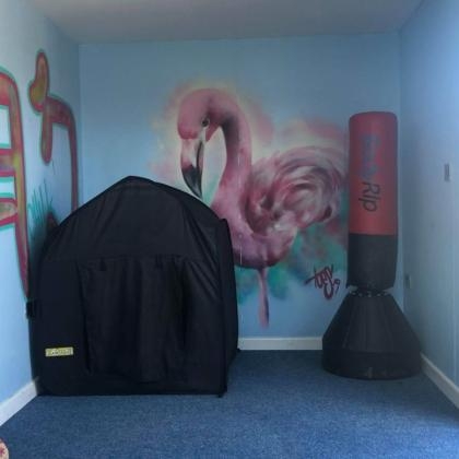 Blue room 1